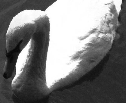 Photoshop CS4 - _313.jpg