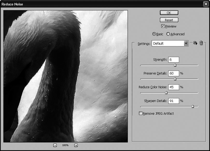 Photoshop CS4 - _349.jpg