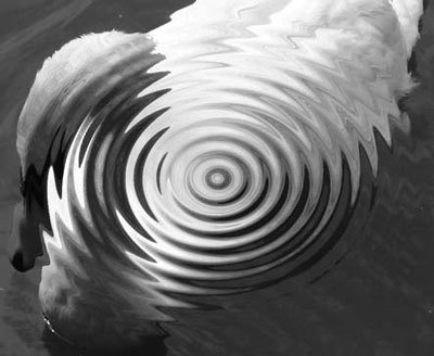 Photoshop CS4 - _345.jpg