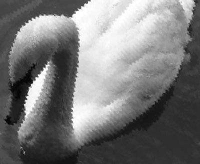 Photoshop CS4 - _340.jpg