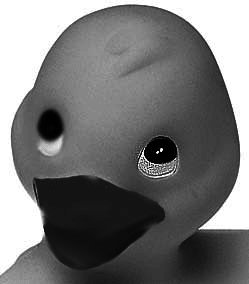 Photoshop CS4 - _102.jpg