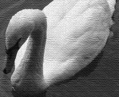 Photoshop CS4 - _392.jpg