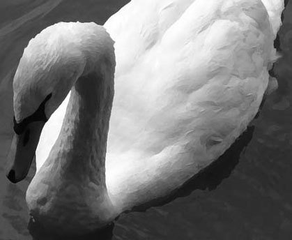Photoshop CS4 - _304.jpg
