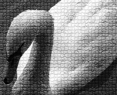 Photoshop CS4 - _389.jpg