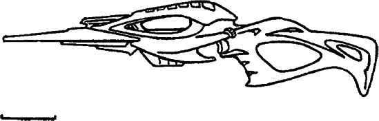 Линия грез. Трилогия - i_020.png