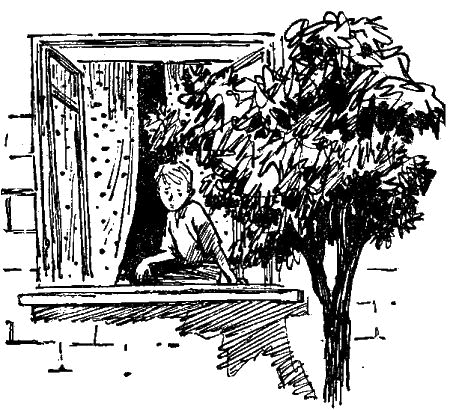 Первое знакомство (сборник) - i_002.png