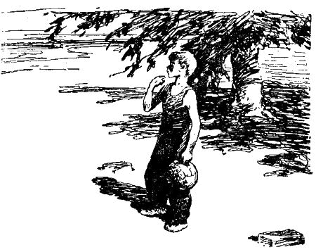 Первое знакомство (сборник) - i_027.png