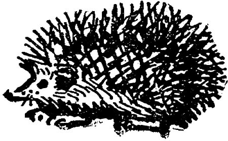 Первое знакомство (сборник) - i_047.png