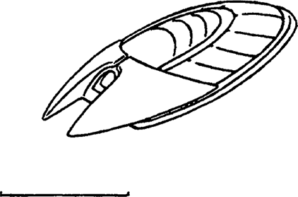 Кей Дач. Трилогия - i_025.png