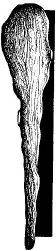 Энциклопедия славянской культуры, письменности и мифологии - i_127.jpg