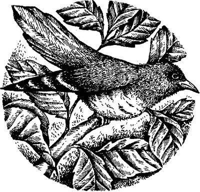 Энциклопедия славянской культуры, письменности и мифологии - i_202.jpg