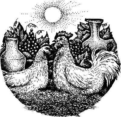 Энциклопедия славянской культуры, письменности и мифологии - i_204.jpg
