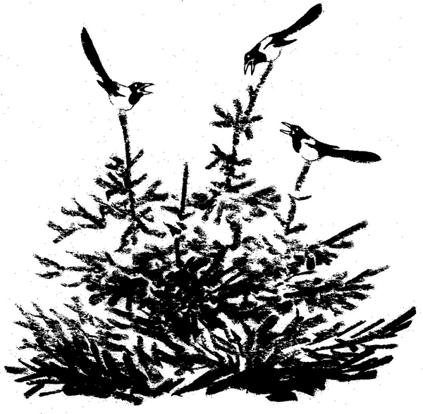 Кладовая солнца - i_002.png