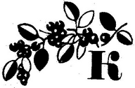 Кладовая солнца - i_004.png
