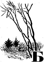 Кладовая солнца - i_005.png