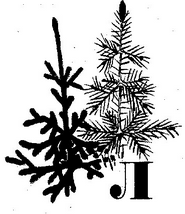 Кладовая солнца - i_007.png