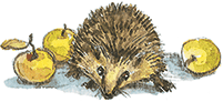 Лисичкин хлеб - i_020.png