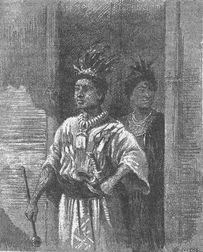 Том 2. Месть каторжника. Затерянные в океане (с илл.) - i_023.jpg