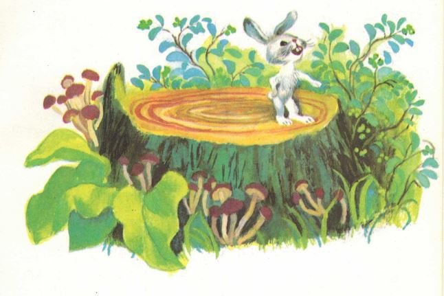 Не плачь, мухоморчик! - _24.jpg