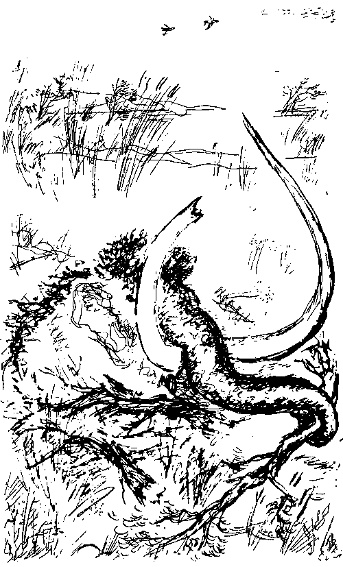 Земля мамонтов (с илл.) - _71.png