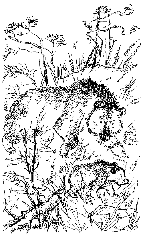 Земля мамонтов (с илл.) - _182.png