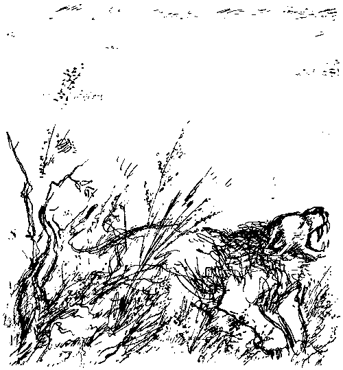 Земля мамонтов (с илл.) - _241.png
