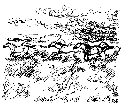 Земля мамонтов (с илл.) - _281.png