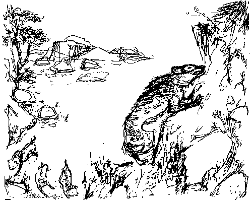 Земля мамонтов (с илл.) - _351.png