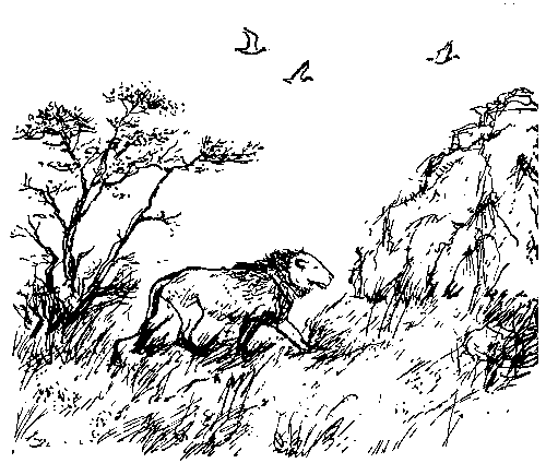Земля мамонтов (с илл.) - _43.png