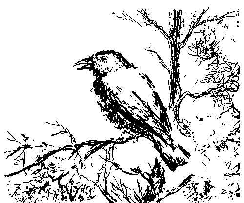 Земля мамонтов (с илл.) - _471.png