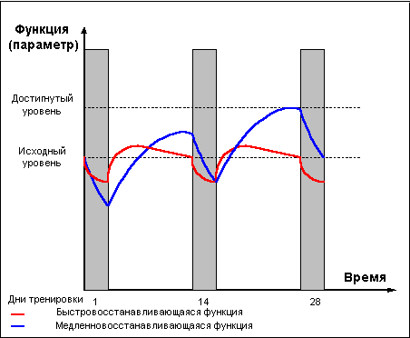 Думай! Или 'Супертренинг' без заблуждений - any2fbimgloader16.png