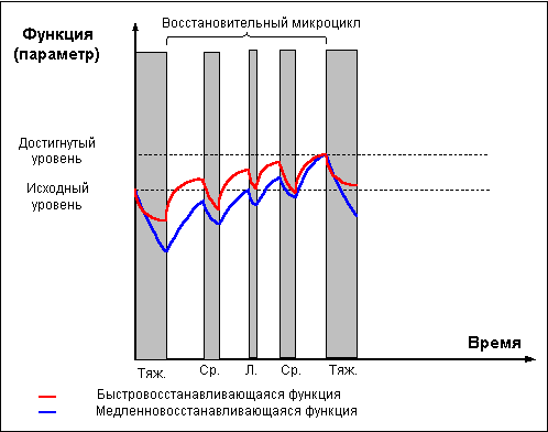 Думай! Или 'Супертренинг' без заблуждений - any2fbimgloader18.png