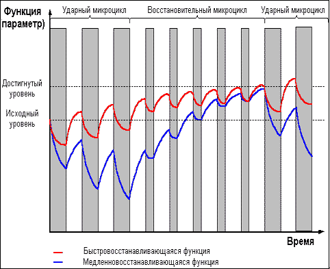 Думай! Или 'Супертренинг' без заблуждений - any2fbimgloader19.png