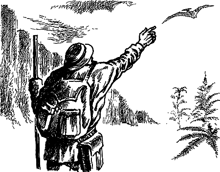 Затерянная земля (Сборник) - i_026.png