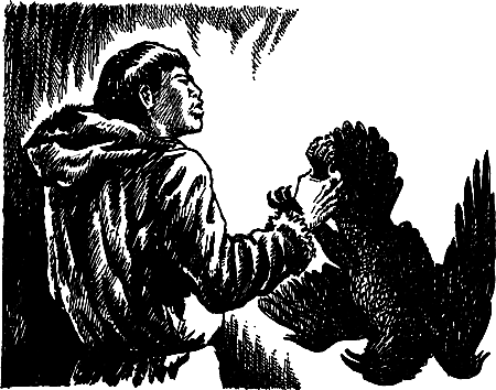 Затерянная земля (Сборник) - i_060.png