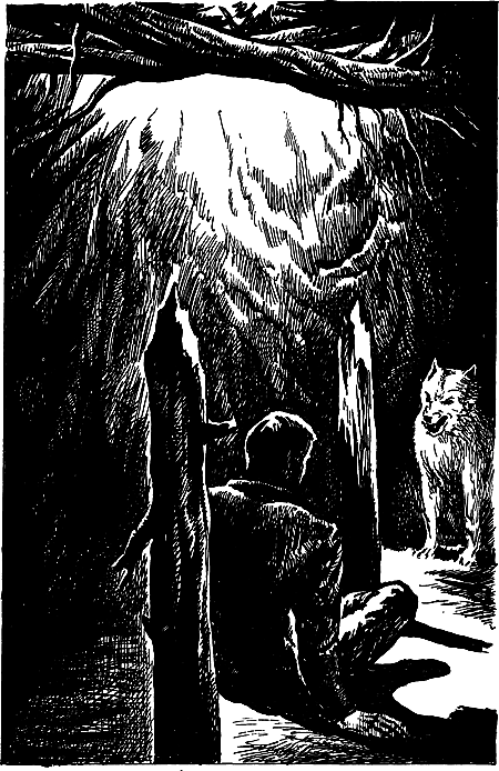 Затерянная земля (Сборник) - i_086.png