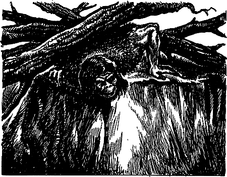 Затерянная земля (Сборник) - i_087.png