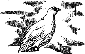Затерянная земля (Сборник) - i_107.png
