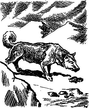 Затерянная земля (Сборник) - i_118.png