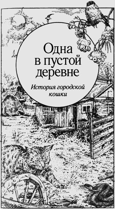 Долгая дорога домой (сборник) с илл. - img13.png