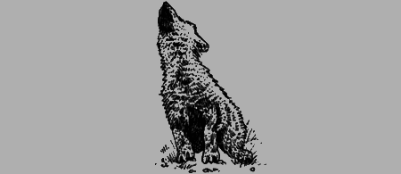 Долгая дорога домой (сборник) с илл. - img68.png