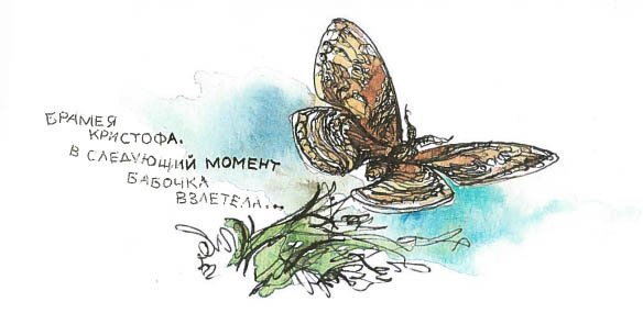 Синий махаон - _20141201154246Skrinshotehkrana.jpg