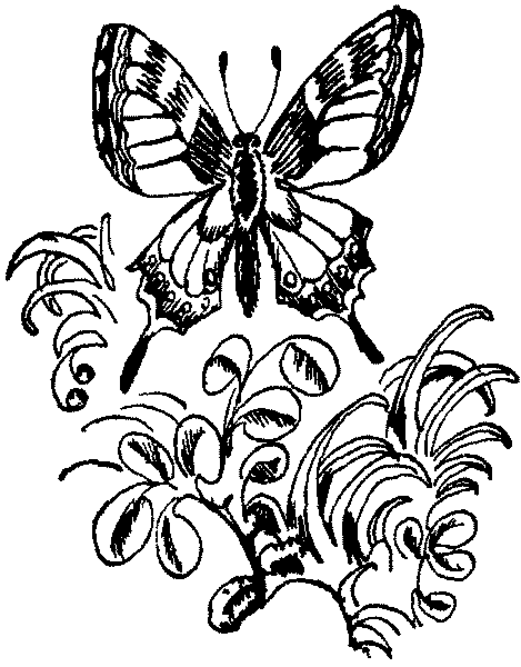 Лесная быль. Рассказы и повести - pic040.png