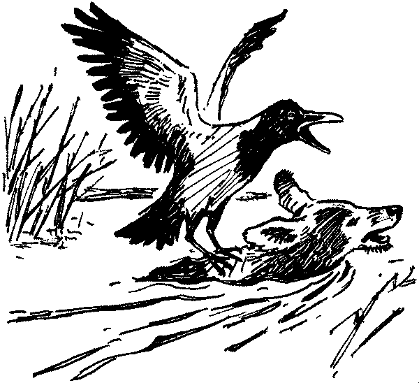 Полосатая спинка. Рассказы - pic13.png