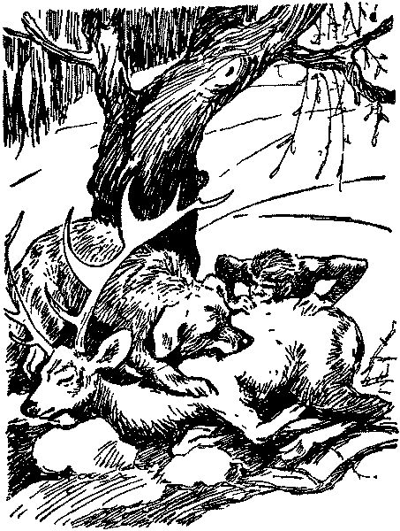 Рам и Гау - pic003.png
