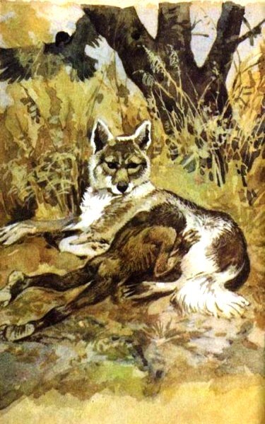 Рам и Гау - pic014.jpg
