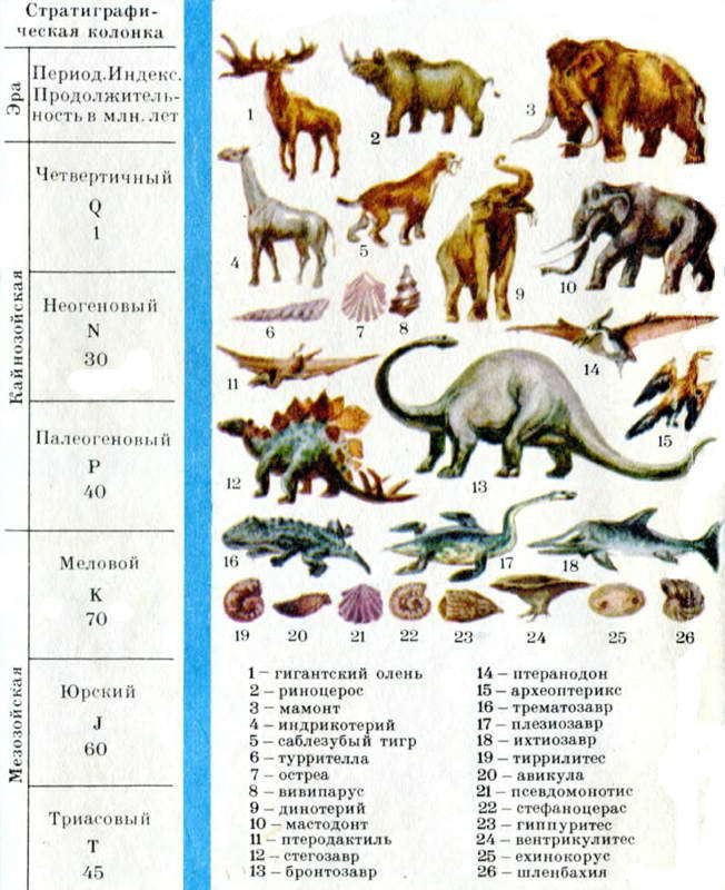 Как развивалась жизнь на Земле - i_048.jpg