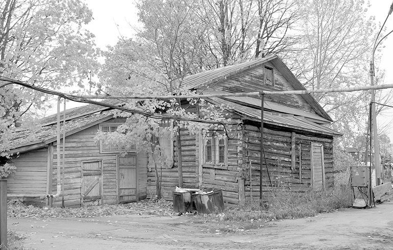 На берегах реки Ждановки - i_162.jpg