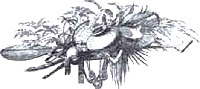Амазонка: призраки зеленого ада - i_008.png