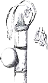 Амазонка: призраки зеленого ада - i_011.png